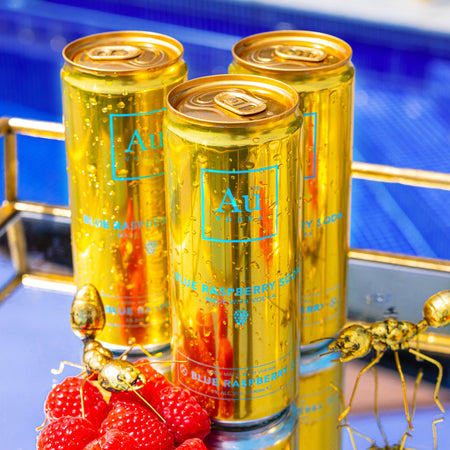 Raspberry Pre Mixed Cans 12 Pack