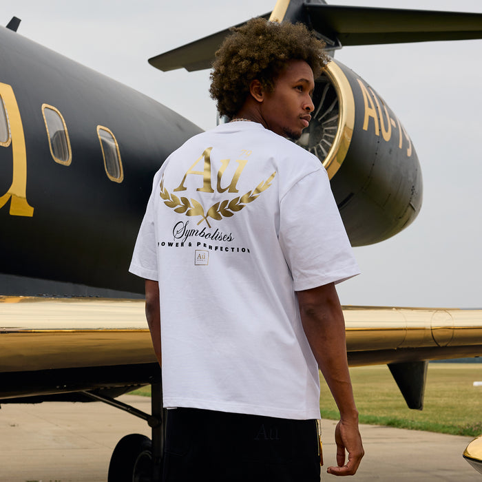 Person wearing a white t-shirt with gold and black design in front of a black and gold airplane.